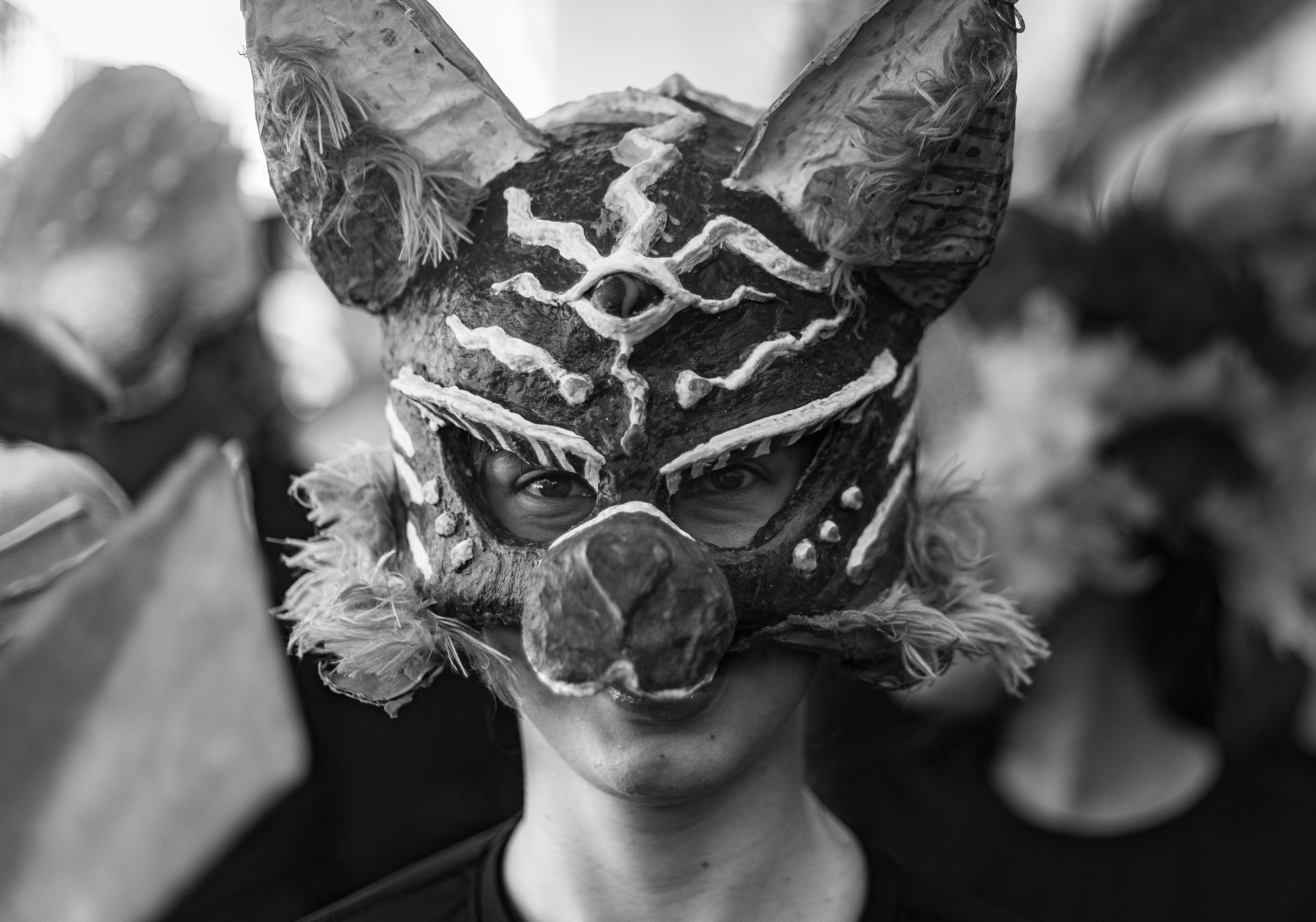 Black and white portrait of a person wearing a wolf mask, symbolizing a wolf in sheep's clothing and a fake advocate