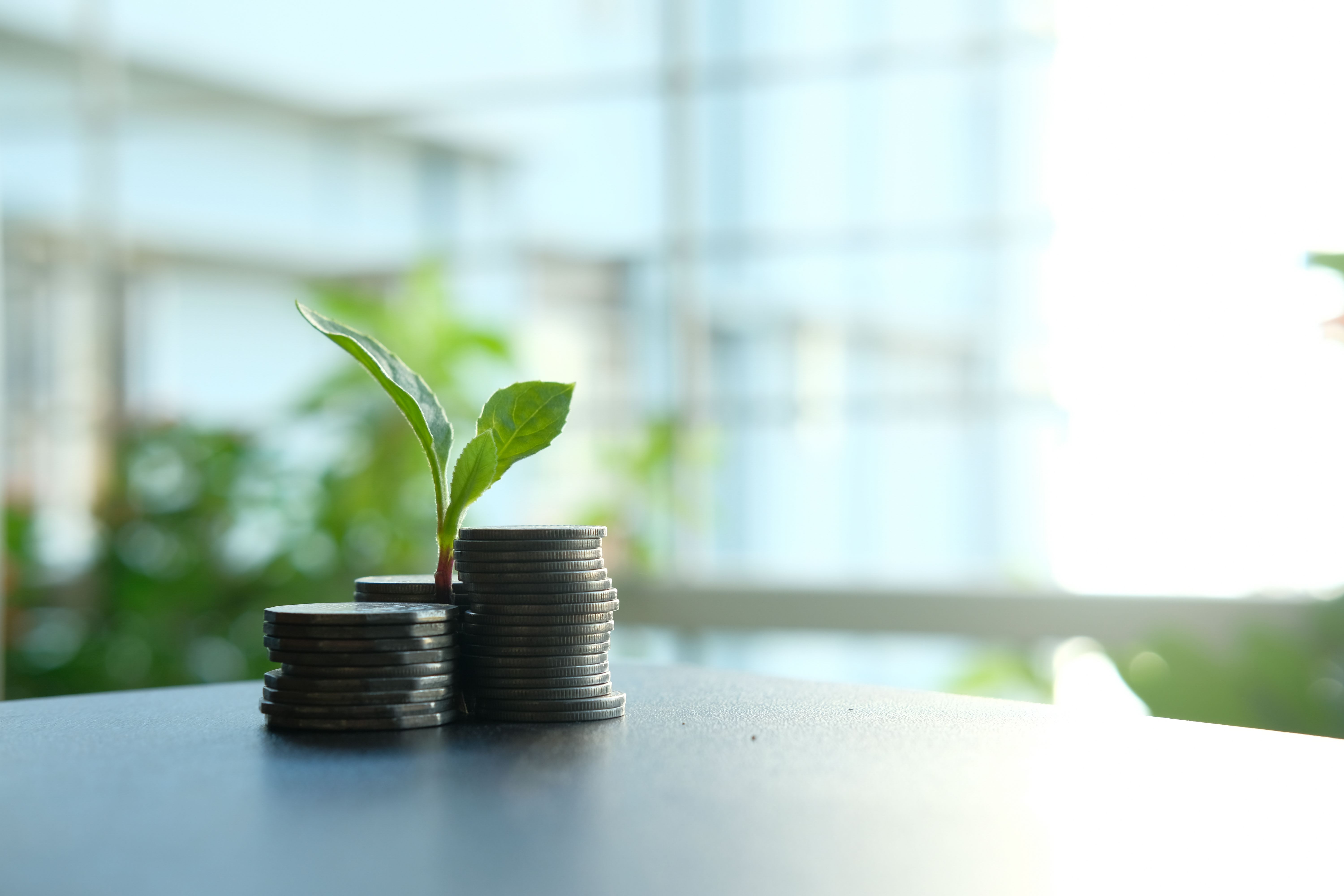Stacked coins with a small plant sprouting, symbolizing investment growth in litigation finance